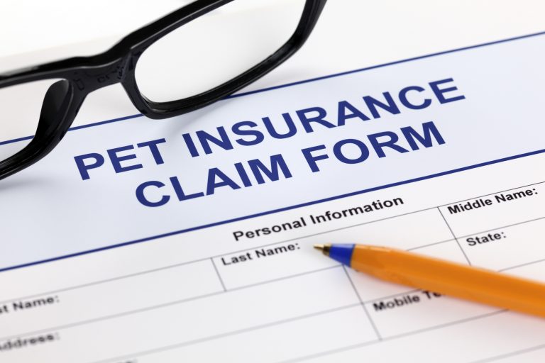 is pet insurance worth it