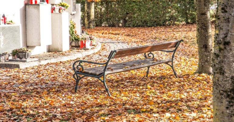 funeral expense insurance