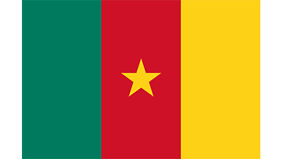 cameroon flag