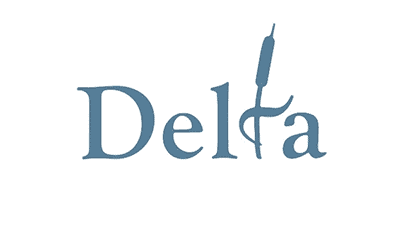 delta city logo
