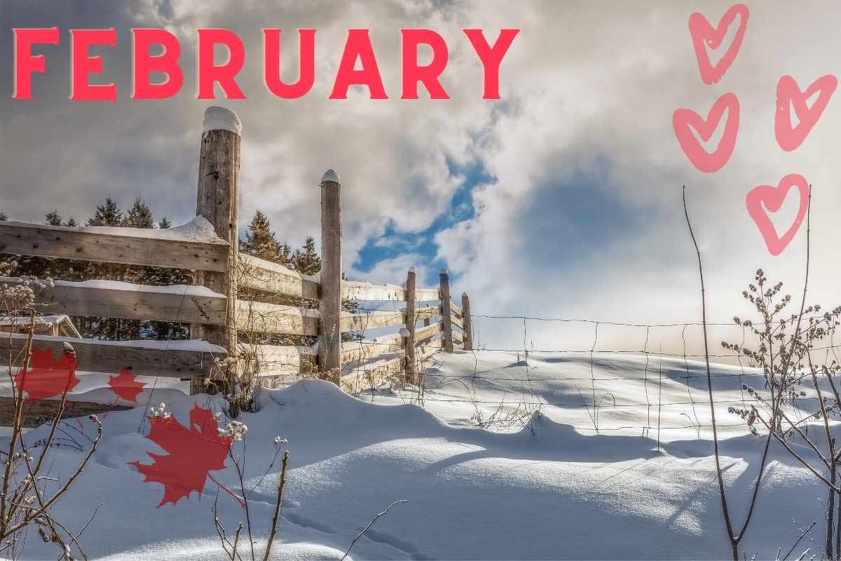 February