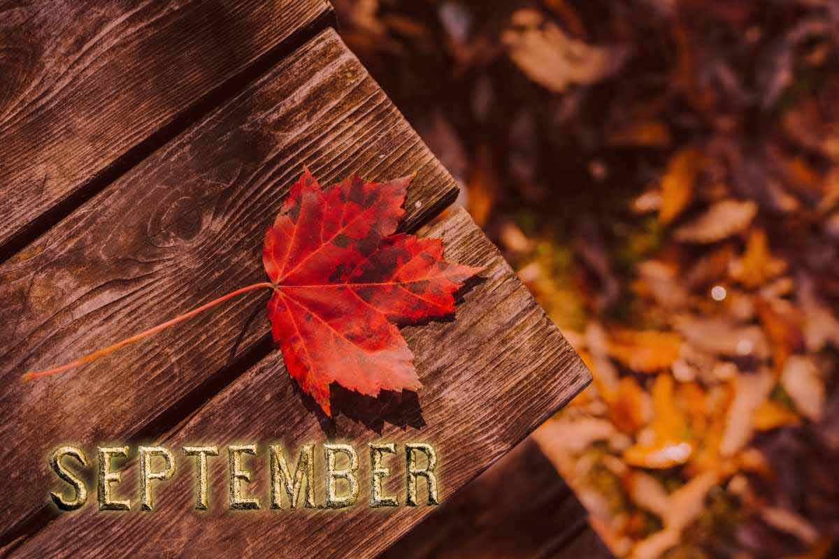 September