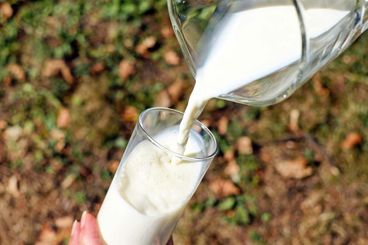 Oat milk in Canada image