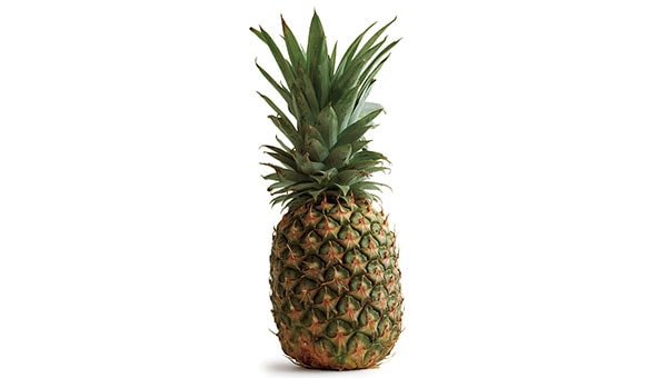 Pineapple Size Fetal Development