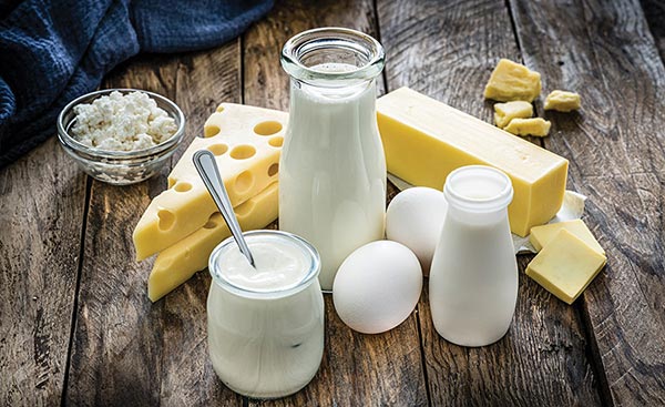 Dairy foods for bone health 