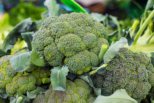 Broccoli - Foods that prevent cancer