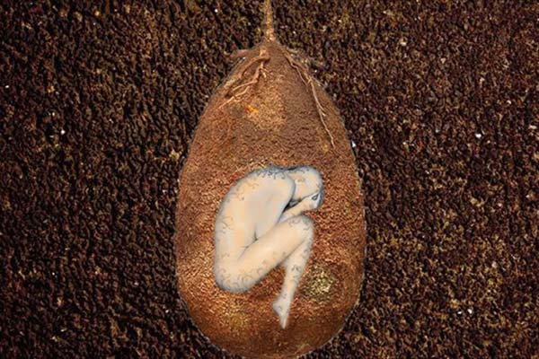 Tree pod burial