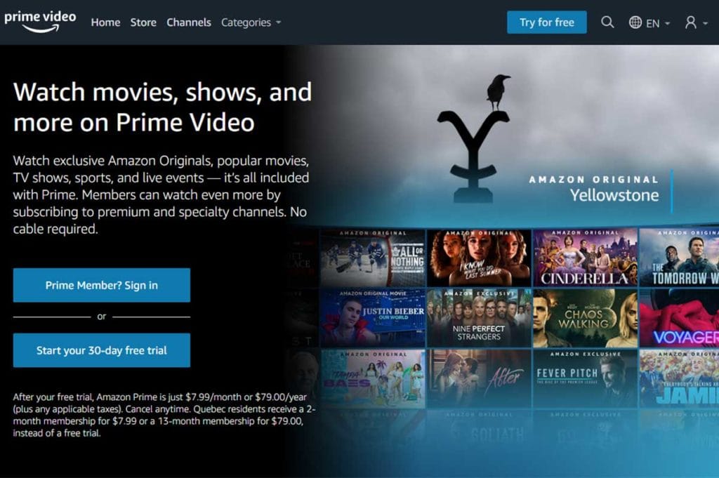 Amazon Canada The King Insurdinary