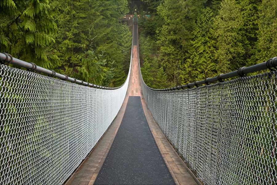 capilano suspension bridge