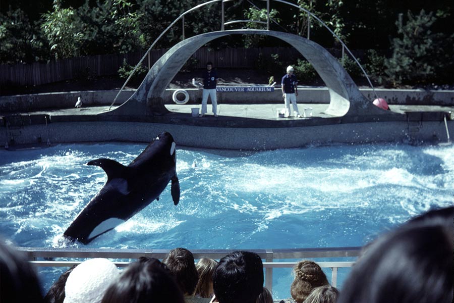 Vancouver Aquarium