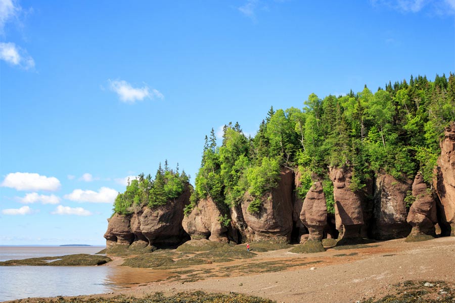 Hopewell Rocks