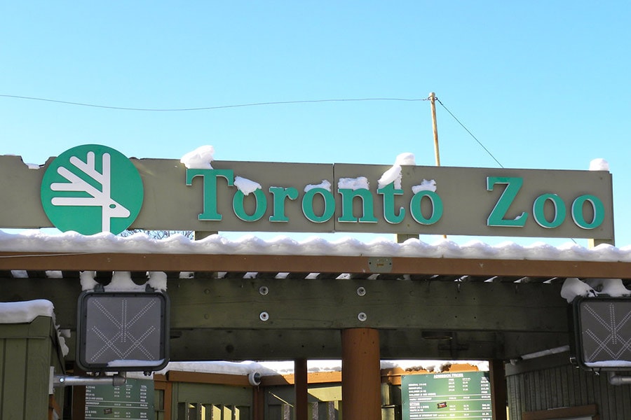 The Toronto Zoo