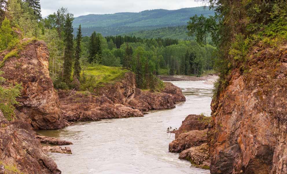 Yukon River Wilderness Image