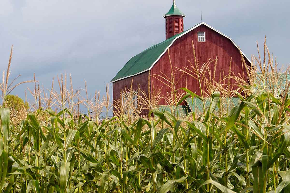 red country barn prince edward county